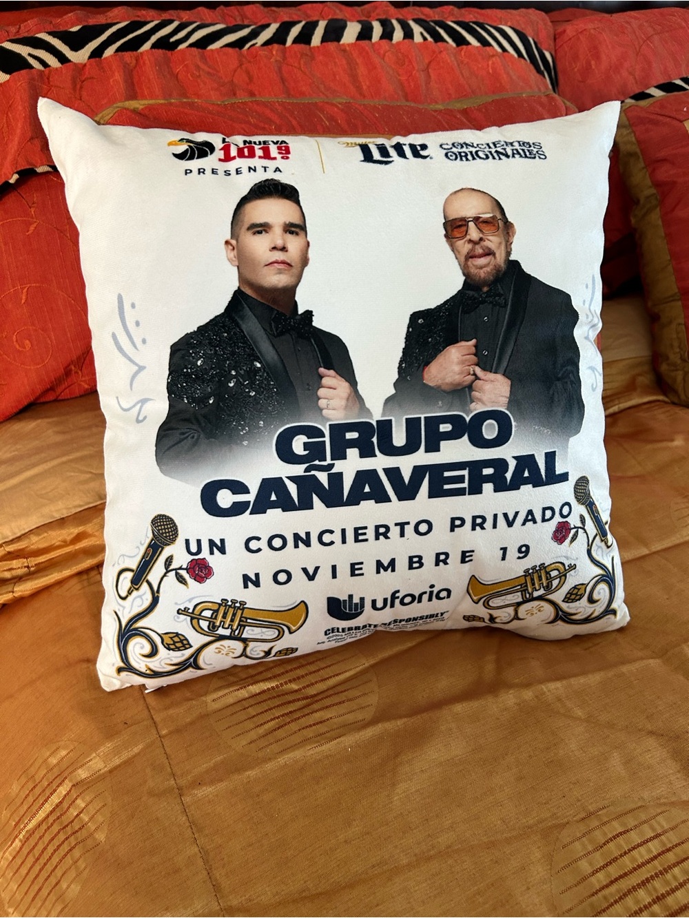 $10 Days Mexican Cumbia Group Canaveral Pillow 14” x 14”